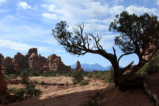 Arches National Park – Cindy McNabb